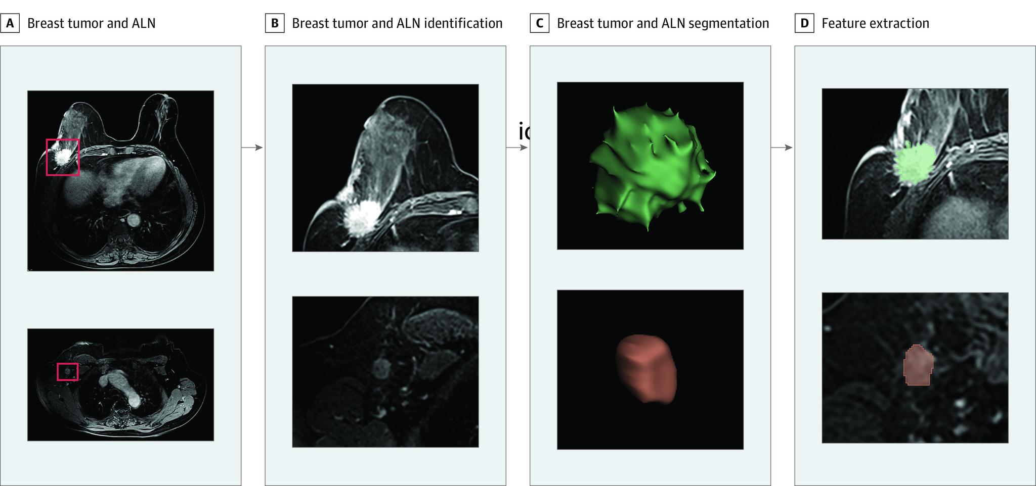 https://cdn.ncbi.nlm.nih.gov/pmc/blobs/f7ee/7724560/09a158384ae0/jamanetwopen-e2028086-g001.jpg