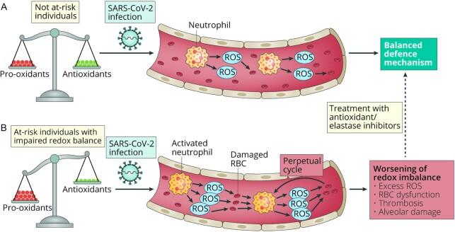 https://cdn.ncbi.nlm.nih.gov/pmc/blobs/f7f0/8166572/a9c662d97d25/nmaa171fig2.jpg