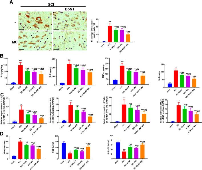 https://cdn.ncbi.nlm.nih.gov/pmc/blobs/f7f3/7982576/823d6086ceee/fphar-11-602417-g002.jpg