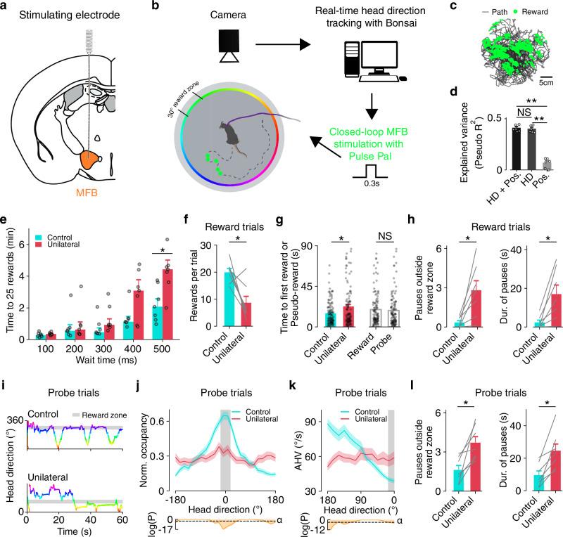 https://cdn.ncbi.nlm.nih.gov/pmc/blobs/f7f4/11997211/272039aa7892/41467_2025_58847_Fig3_HTML.jpg
