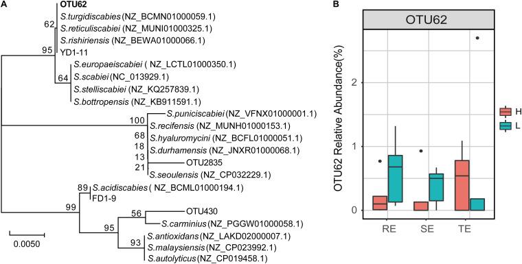 https://cdn.ncbi.nlm.nih.gov/pmc/blobs/f7f4/7900429/06ca3b86897c/fmicb-12-616013-g007.jpg