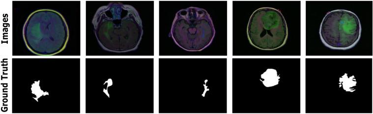https://cdn.ncbi.nlm.nih.gov/pmc/blobs/f7f7/12012032/947edc9b6cb0/41598_2025_98464_Fig5_HTML.jpg