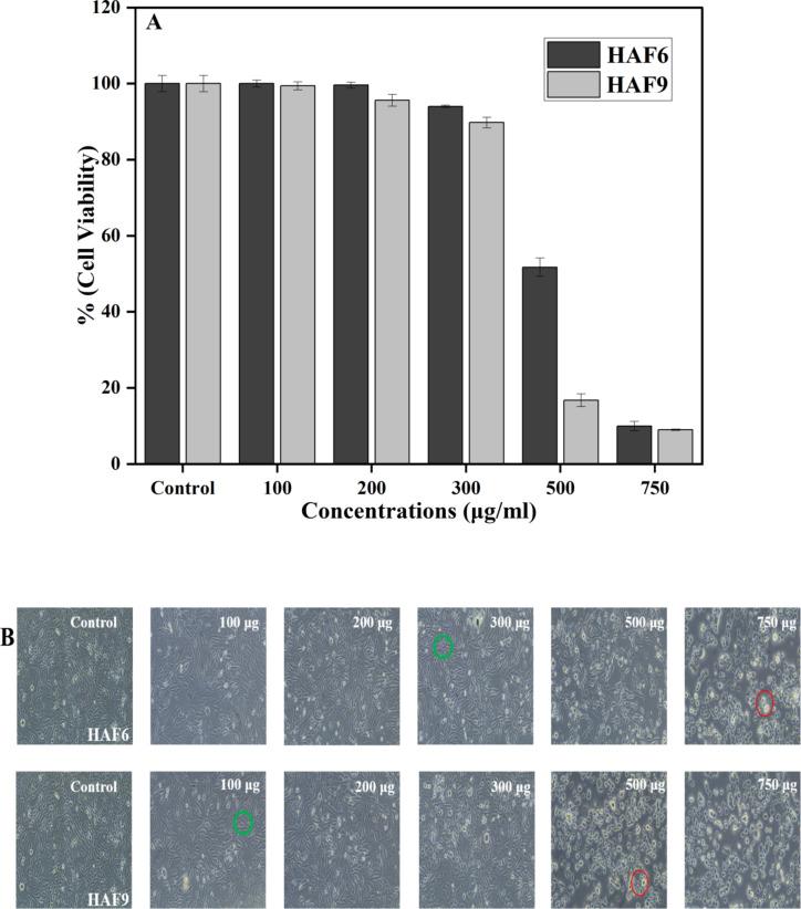 https://cdn.ncbi.nlm.nih.gov/pmc/blobs/f7f9/11762292/8456e5b95a37/41598_2025_87111_Fig10_HTML.jpg