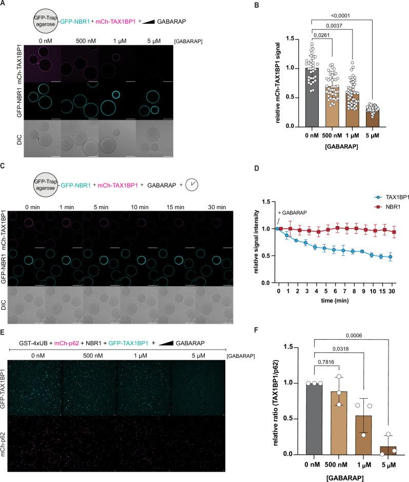 https://cdn.ncbi.nlm.nih.gov/pmc/blobs/f7fc/11611905/2efff93e315a/44318_2024_280_Fig5_HTML.jpg
