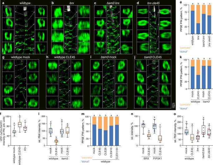 https://cdn.ncbi.nlm.nih.gov/pmc/blobs/f7fc/9879999/91486a710e7c/41467_2023_36200_Fig3_HTML.jpg