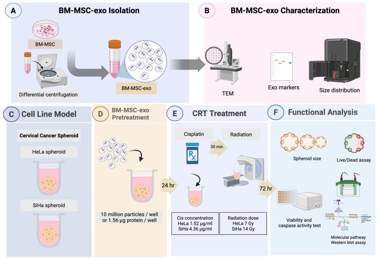 https://cdn.ncbi.nlm.nih.gov/pmc/blobs/f7fd/12299787/a1489ff1c493/pharmaceuticals-18-01050-g001.jpg