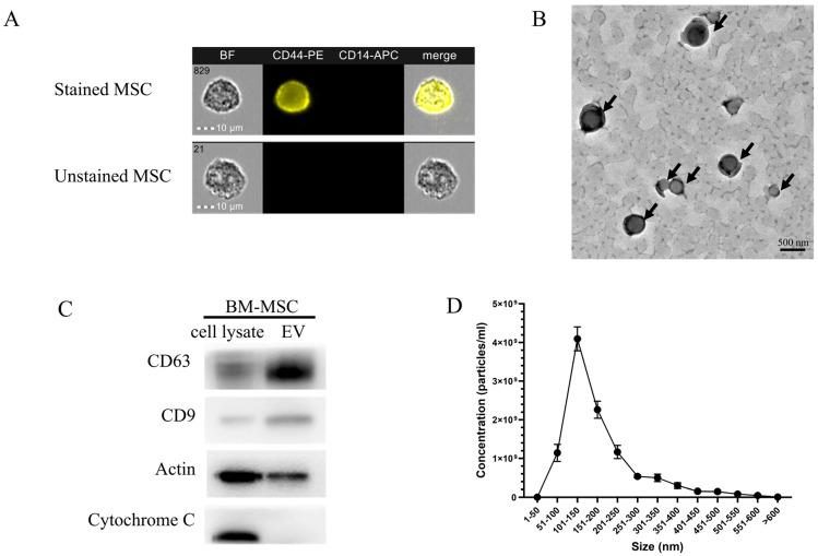https://cdn.ncbi.nlm.nih.gov/pmc/blobs/f7fd/12299787/aa71a68a207d/pharmaceuticals-18-01050-g002.jpg