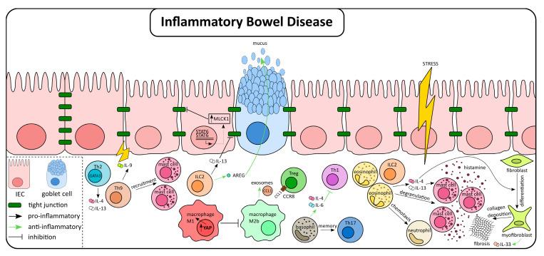 https://cdn.ncbi.nlm.nih.gov/pmc/blobs/f7fe/7767427/6e91d15bb485/ijms-21-09772-g002.jpg