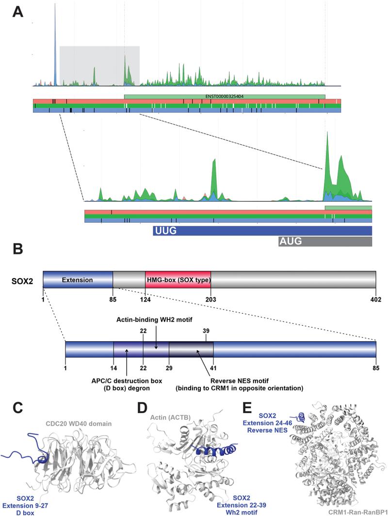 https://cdn.ncbi.nlm.nih.gov/pmc/blobs/f800/12045569/09e45d189abf/KRNB_A_2498203_F0005_OC.jpg