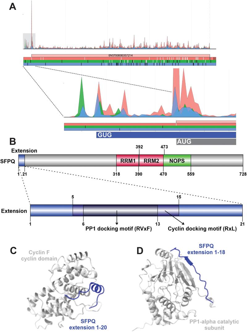 https://cdn.ncbi.nlm.nih.gov/pmc/blobs/f800/12045569/4642e958f45b/KRNB_A_2498203_F0002_OC.jpg