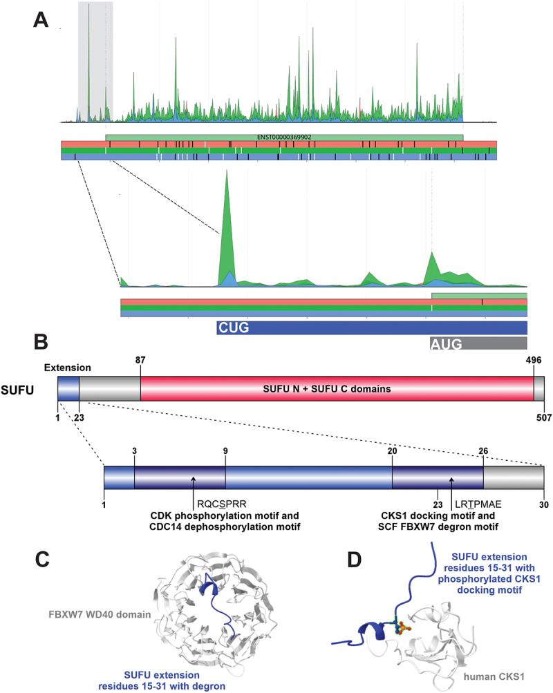 https://cdn.ncbi.nlm.nih.gov/pmc/blobs/f800/12045569/d9efec7f62b8/KRNB_A_2498203_F0004_OC.jpg