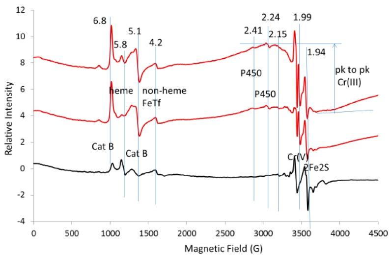 https://cdn.ncbi.nlm.nih.gov/pmc/blobs/f800/6429069/5ab302457048/ijms-20-01143-g007.jpg
