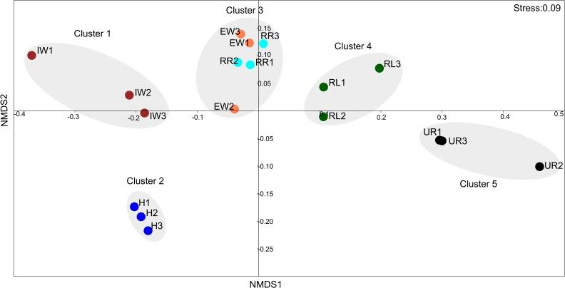 https://cdn.ncbi.nlm.nih.gov/pmc/blobs/f800/6458280/02cb2c9b1b5c/fmicb-10-00688-g005.jpg