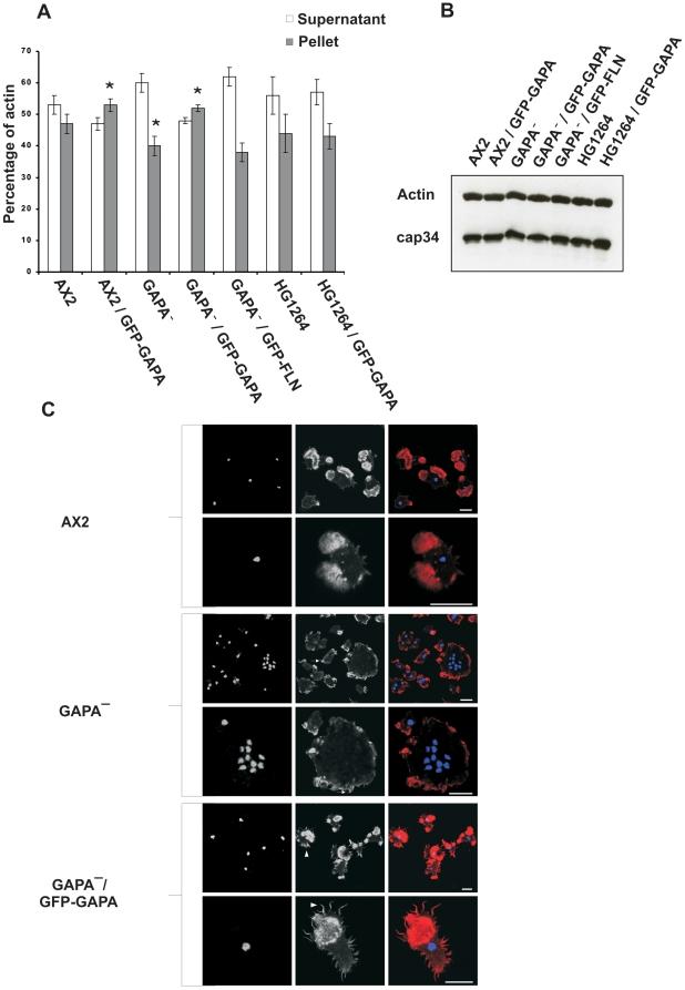 https://cdn.ncbi.nlm.nih.gov/pmc/blobs/f801/2978108/a41e3bc5202e/pone.0015440.g005.jpg