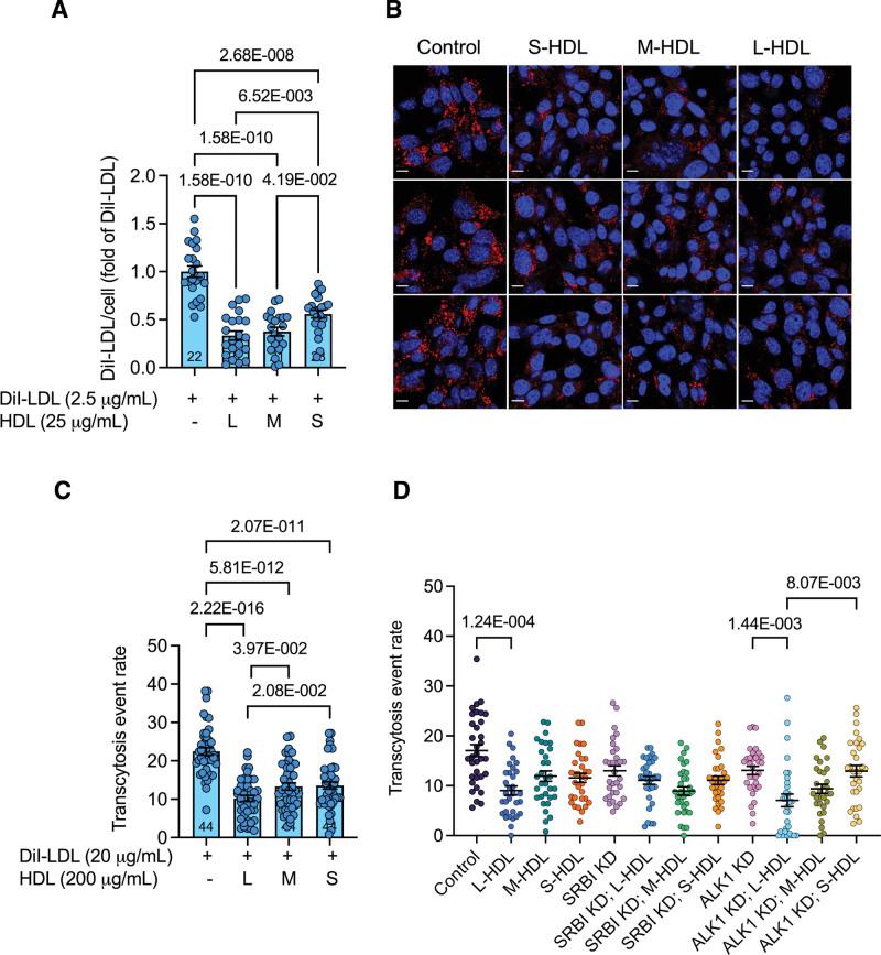 https://cdn.ncbi.nlm.nih.gov/pmc/blobs/f807/11227304/6c37f0aa6f23/res-135-335-g006.jpg