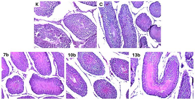 https://cdn.ncbi.nlm.nih.gov/pmc/blobs/f809/12030013/a38bf1a885ca/pharmaceuticals-18-00546-g004.jpg