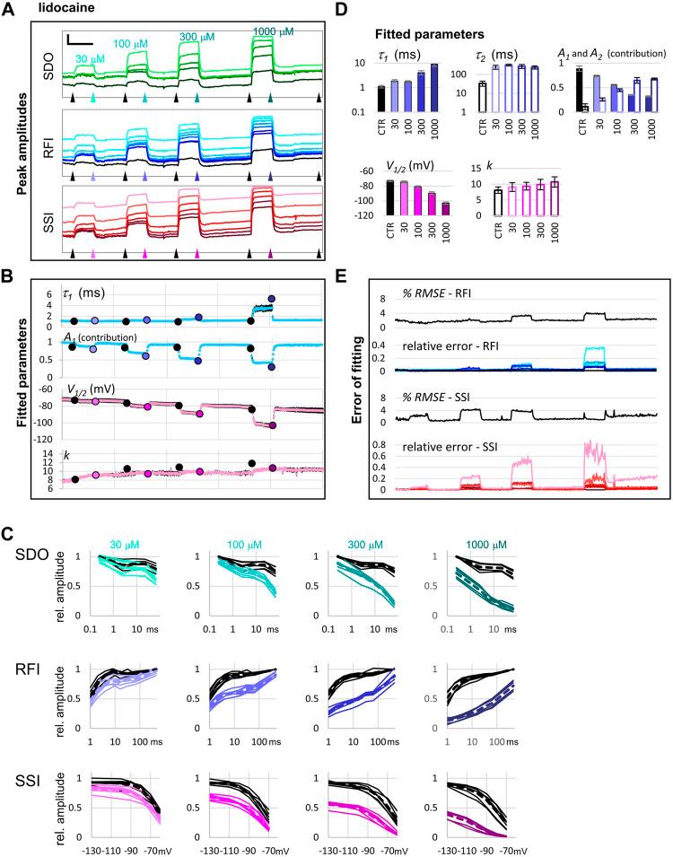 https://cdn.ncbi.nlm.nih.gov/pmc/blobs/f80a/8513526/7a6b3f2550a8/fphar-12-738260-g004.jpg