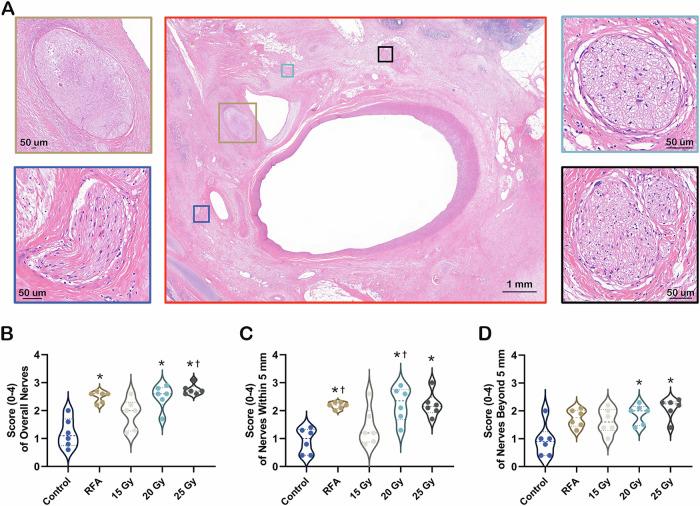 https://cdn.ncbi.nlm.nih.gov/pmc/blobs/f80b/11718002/003203013059/41467_2025_55933_Fig3_HTML.jpg