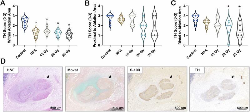 https://cdn.ncbi.nlm.nih.gov/pmc/blobs/f80b/11718002/410ce6790e87/41467_2025_55933_Fig5_HTML.jpg