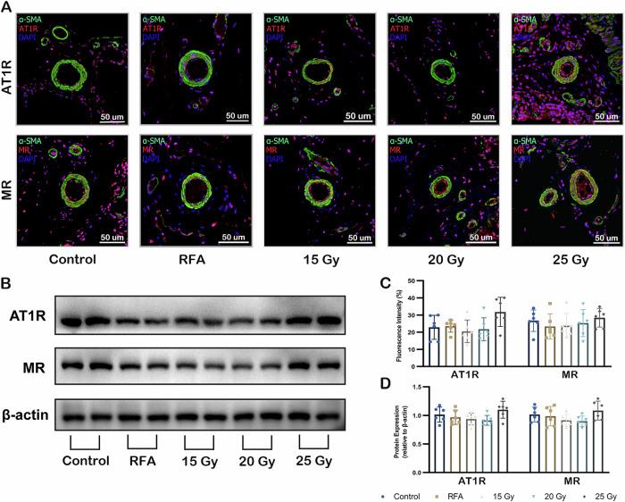 https://cdn.ncbi.nlm.nih.gov/pmc/blobs/f80b/11718002/8d826b75d946/41467_2025_55933_Fig7_HTML.jpg
