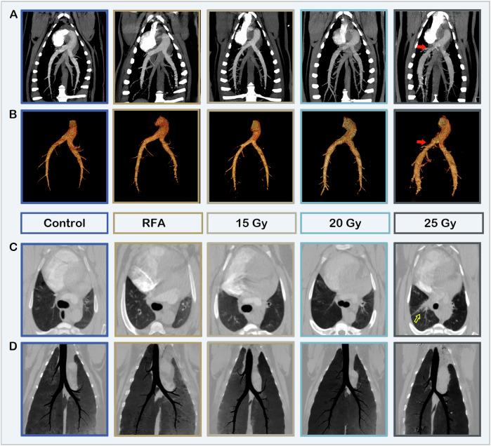 https://cdn.ncbi.nlm.nih.gov/pmc/blobs/f80b/11718002/c585d468d4e4/41467_2025_55933_Fig8_HTML.jpg