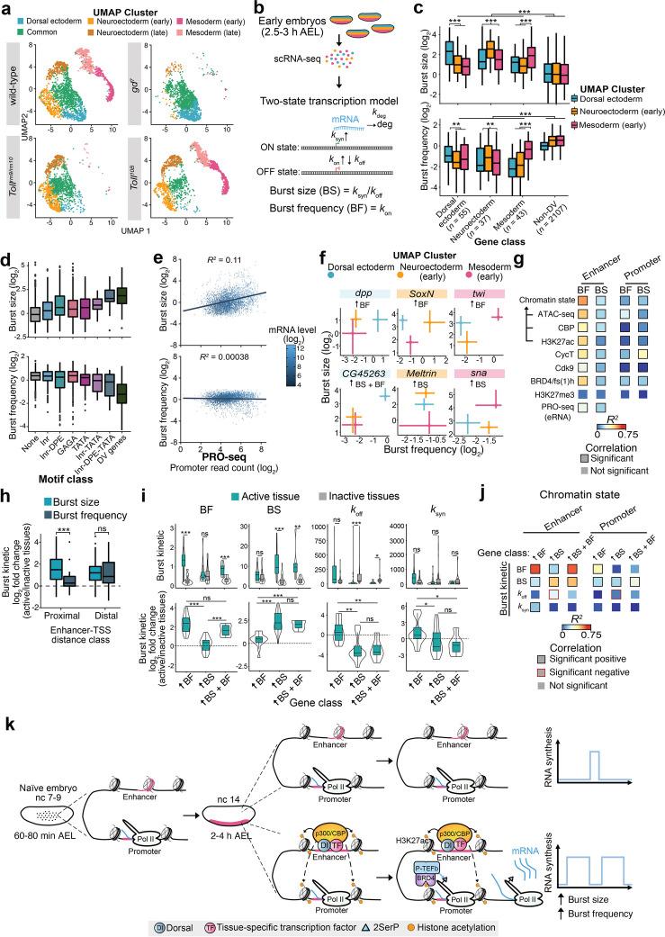 https://cdn.ncbi.nlm.nih.gov/pmc/blobs/f80f/10763363/07bb8e9b57a7/13059_2023_3135_Fig5_HTML.jpg