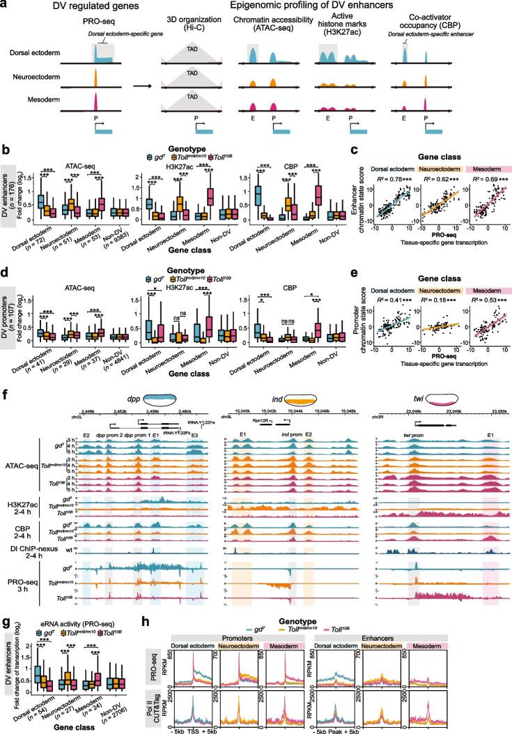 https://cdn.ncbi.nlm.nih.gov/pmc/blobs/f80f/10763363/a62e8ab86a8b/13059_2023_3135_Fig2_HTML.jpg