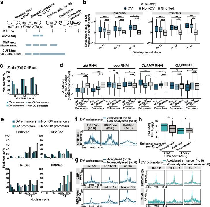 https://cdn.ncbi.nlm.nih.gov/pmc/blobs/f80f/10763363/ea2a5db256c9/13059_2023_3135_Fig4_HTML.jpg