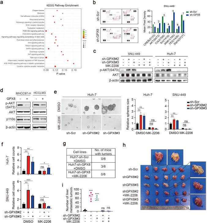 https://cdn.ncbi.nlm.nih.gov/pmc/blobs/f80f/11322209/1b9d2aa4e638/13402_2024_934_Fig3_HTML.jpg