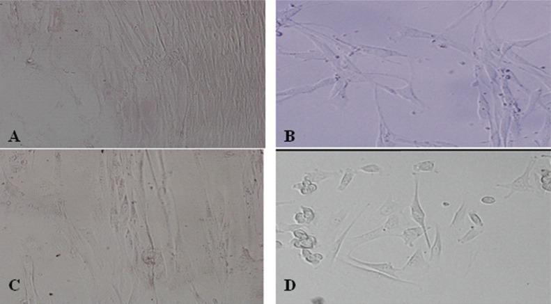 https://cdn.ncbi.nlm.nih.gov/pmc/blobs/f811/3614677/5a26fba19633/IJBS-4-14_F3.jpg