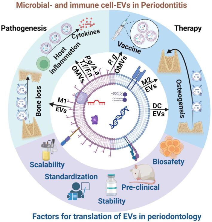 https://cdn.ncbi.nlm.nih.gov/pmc/blobs/f814/11626692/d02f4670dc4c/JRE-59-1115-g002.jpg