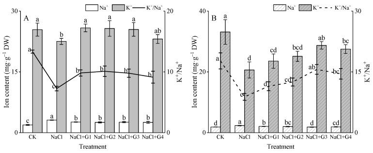 https://cdn.ncbi.nlm.nih.gov/pmc/blobs/f816/10781152/d72760fe4deb/plants-13-00082-g004.jpg
