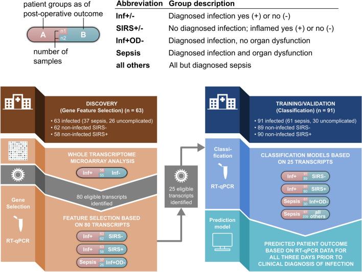 https://cdn.ncbi.nlm.nih.gov/pmc/blobs/f820/9281215/2a47f6b9e9ec/134_2022_6769_Fig1_HTML.jpg