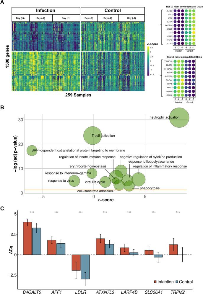 https://cdn.ncbi.nlm.nih.gov/pmc/blobs/f820/9281215/e4ae6480694b/134_2022_6769_Fig2_HTML.jpg