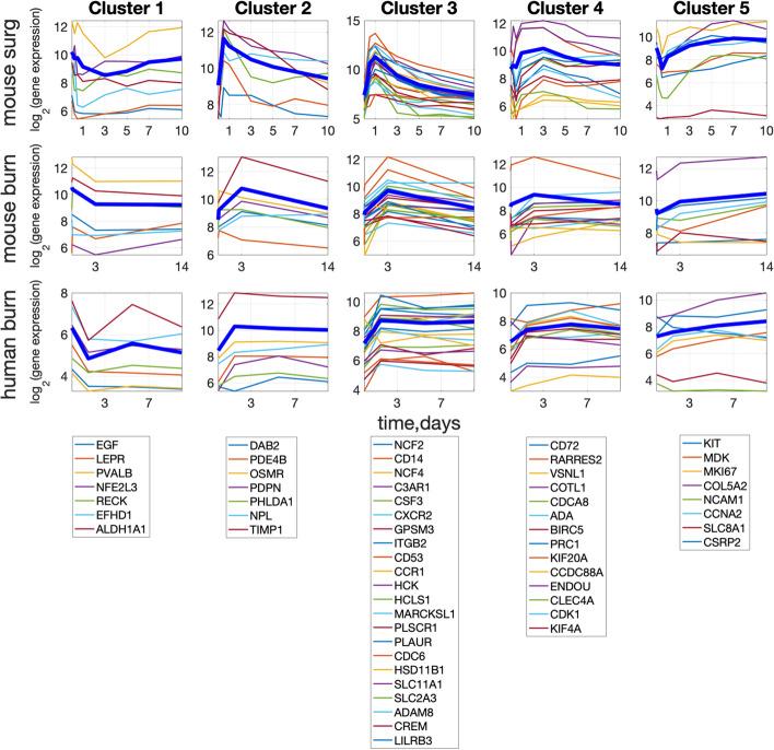 https://cdn.ncbi.nlm.nih.gov/pmc/blobs/f824/10127407/035270eae719/12859_2023_5295_Fig2_HTML.jpg