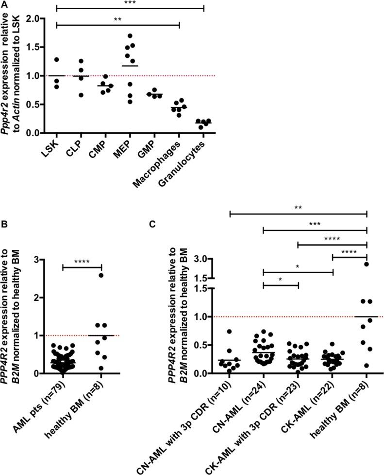 https://cdn.ncbi.nlm.nih.gov/pmc/blobs/f824/5707003/20a2e7da4f34/oncotarget-08-95038-g001.jpg