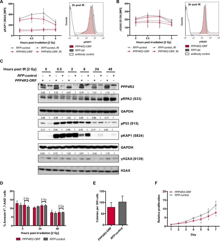 https://cdn.ncbi.nlm.nih.gov/pmc/blobs/f824/5707003/5bcc34d37bfa/oncotarget-08-95038-g004.jpg