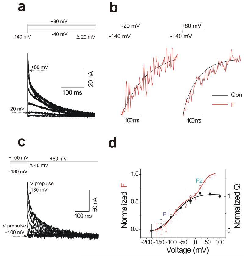 https://cdn.ncbi.nlm.nih.gov/pmc/blobs/f828/4019390/d1a088c606b5/nihms-580845-f0003.jpg