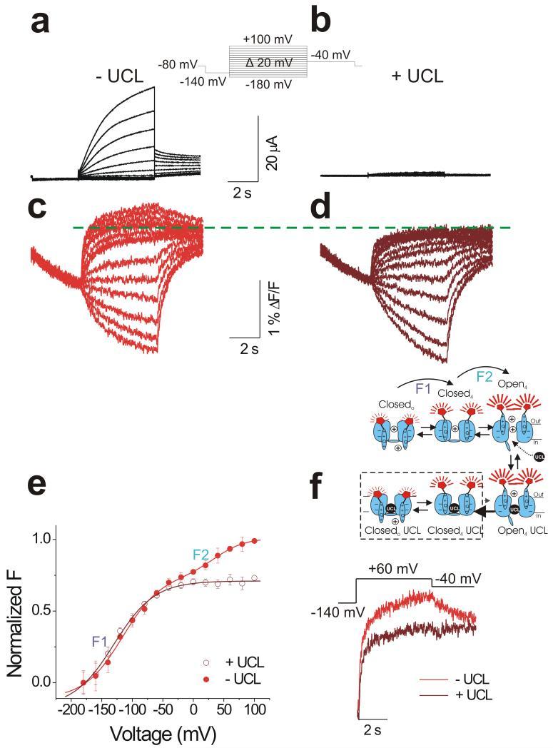 https://cdn.ncbi.nlm.nih.gov/pmc/blobs/f828/4019390/db8a916cc408/nihms-580845-f0004.jpg