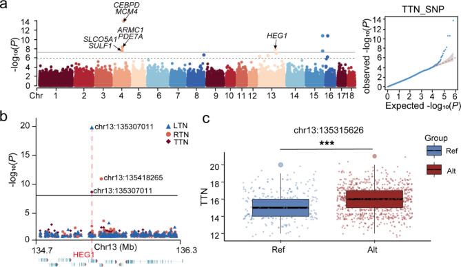 https://cdn.ncbi.nlm.nih.gov/pmc/blobs/f829/11657392/1bc8d7357072/12864_2024_11109_Fig2_HTML.jpg