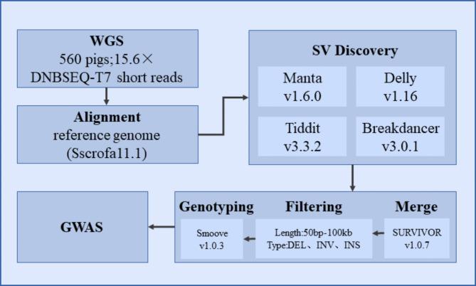 https://cdn.ncbi.nlm.nih.gov/pmc/blobs/f829/11657392/88519bbeac6d/12864_2024_11109_Fig1_HTML.jpg