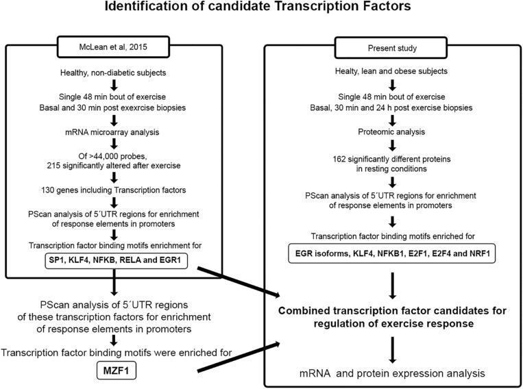 https://cdn.ncbi.nlm.nih.gov/pmc/blobs/f82b/8058368/ed183f6da956/fphys-12-649461-g002.jpg