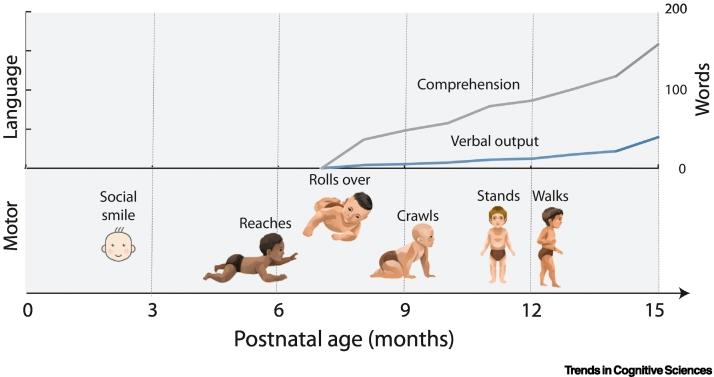 https://cdn.ncbi.nlm.nih.gov/pmc/blobs/f82d/11310914/9497bdbe5409/gr1.jpg