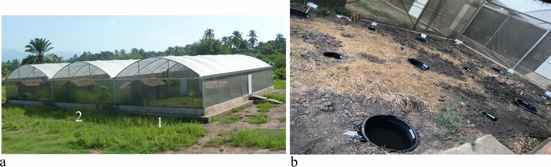 https://cdn.ncbi.nlm.nih.gov/pmc/blobs/f82d/11715231/f534611af538/12936_2025_5242_Fig2_HTML.jpg