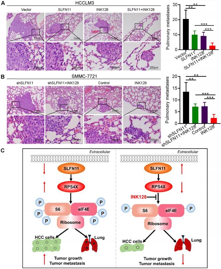 https://cdn.ncbi.nlm.nih.gov/pmc/blobs/f82d/7150495/9802ff500b54/thnov10p4627g007.jpg