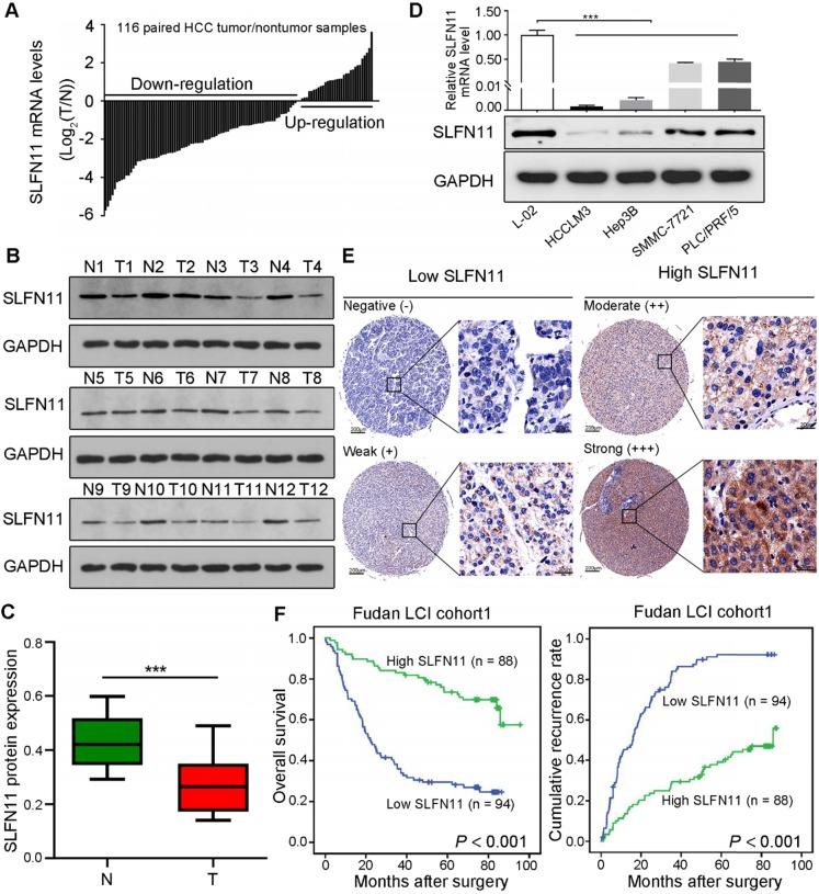 https://cdn.ncbi.nlm.nih.gov/pmc/blobs/f82d/7150495/bbf64e16bc57/thnov10p4627g001.jpg