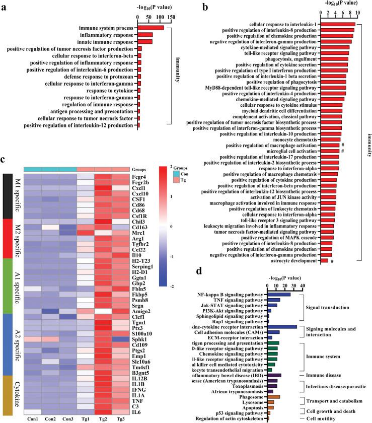 https://cdn.ncbi.nlm.nih.gov/pmc/blobs/f82e/10231842/9233787d83d5/pntd.0011350.g005.jpg