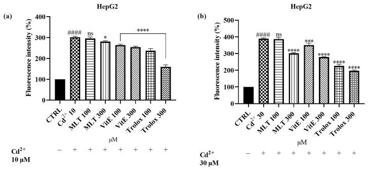 https://cdn.ncbi.nlm.nih.gov/pmc/blobs/f82e/11312335/4ad77c33e46b/ijms-25-08055-g006.jpg