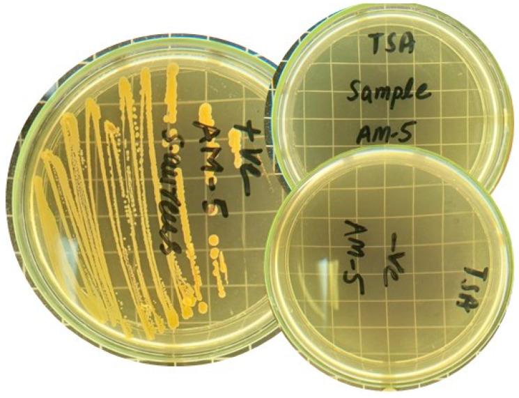 https://cdn.ncbi.nlm.nih.gov/pmc/blobs/f832/10379863/832083531e93/gels-09-00551-g010.jpg