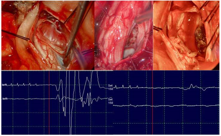 https://cdn.ncbi.nlm.nih.gov/pmc/blobs/f835/11434370/0426eab6750d/medicina-60-01488-g001.jpg